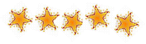 5 star restaurant review