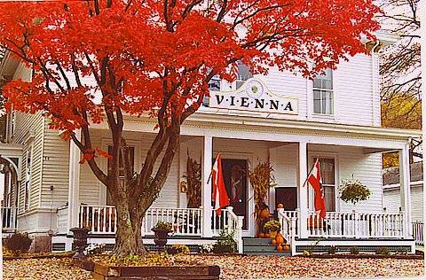 Vienna Restaurant in Fall under the Ancient Japanese Maple