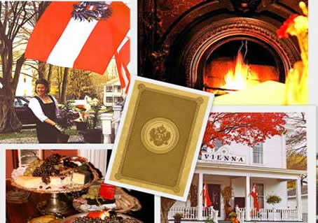 vienna collage 