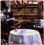 outside on our patio during spring awakening of the bulbs